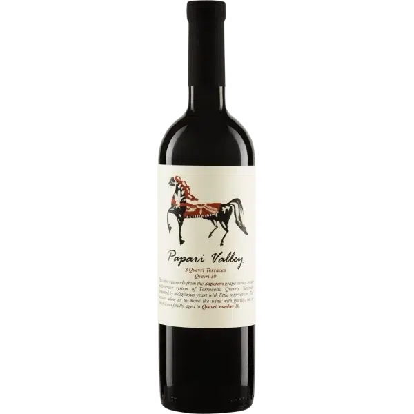 Papari Valley Saperavi 3 Qvevri Terraces 2020-Red Wine-World Wine