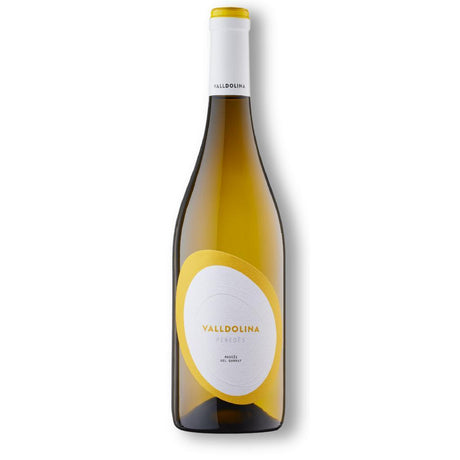 VallDolina Xarel.lo Alt Penedès 2023-White Wine-World Wine