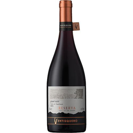 Vina Ventisquero Reserva Pinot Noir 2020 -clearance-Current Promotions-World Wine
