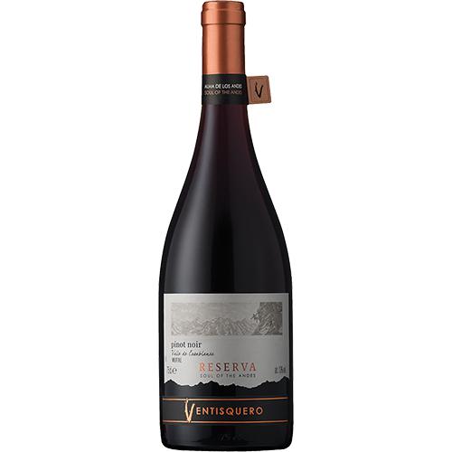 Vina Ventisquero Reserva Pinot Noir 2020 -clearance-Current Promotions-World Wine