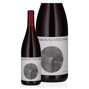Maison Louis Jadot Bourgogne Côte d'Or Rouge 2022