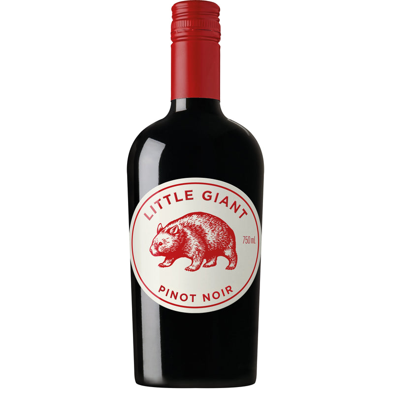 Little Giant Adelaide Hills Pinot Noir 2022-Red Wine-World Wine