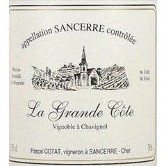 Pascal Cotat Sancerre La Grande Côte 2019-White Wine-World Wine