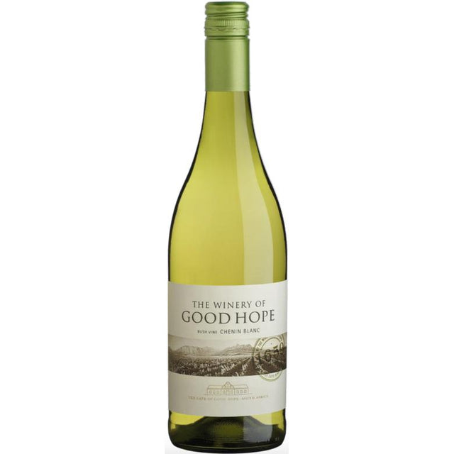 The Winery Of Good Hope Bush Vine Stellenbosch Chenin Blanc 2022-White Wine-World Wine