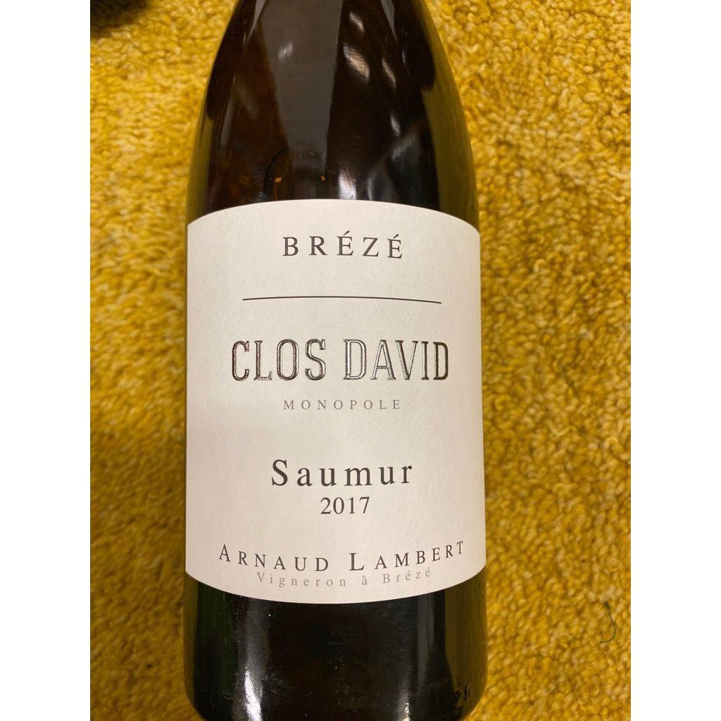 Arnaud Lambert Saumur Brézé Clos David 3000ml 2019-White Wine-World Wine