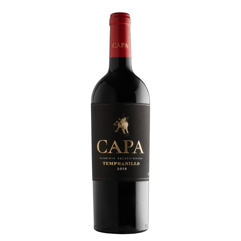 Capa 'Vendimia Seleccionada' Tempranillo 2019 (6 Bottle Case)-Current Promotions-World Wine