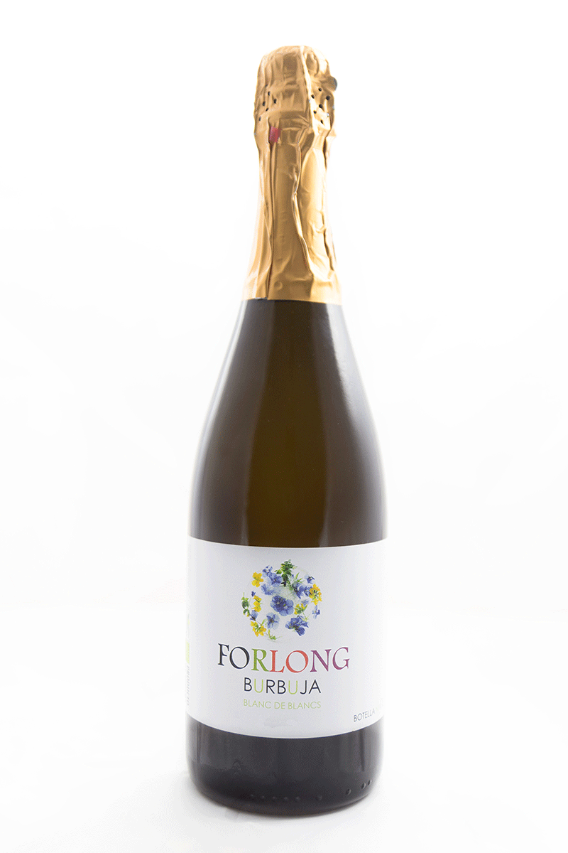 Bodega de Forlong ‘Burbuja’ Palomino Ancestral 2018-White Wine-World Wine