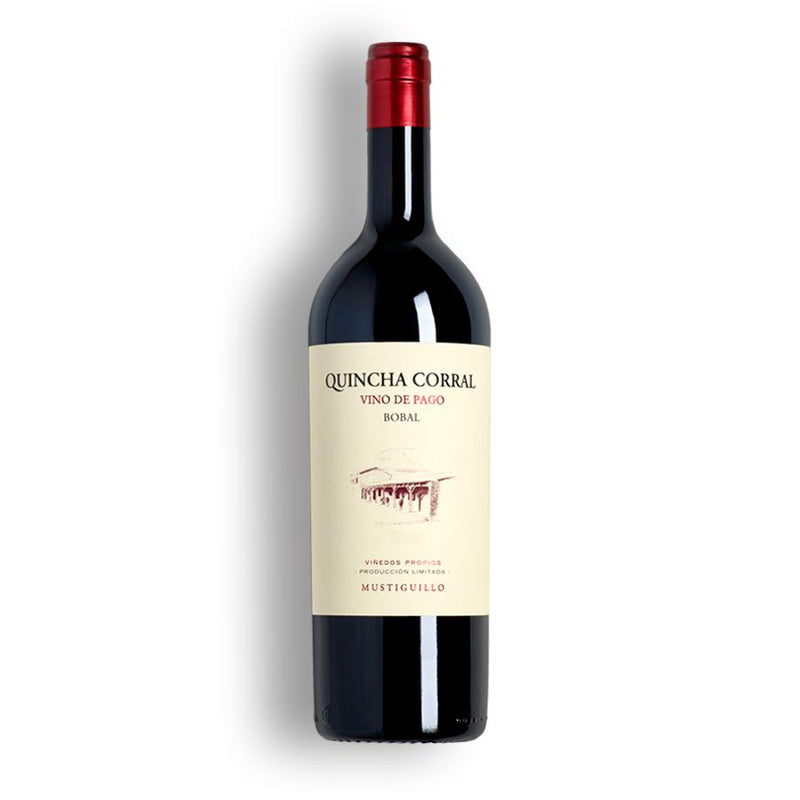 Bodegas Mustiguillo Quincha Corral 2011 (12 bottle case)-Red Wine-World Wine