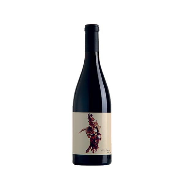 Chateau de Campuget La Sommeliere 2009 (12 bottle case)-Red Wine-World Wine