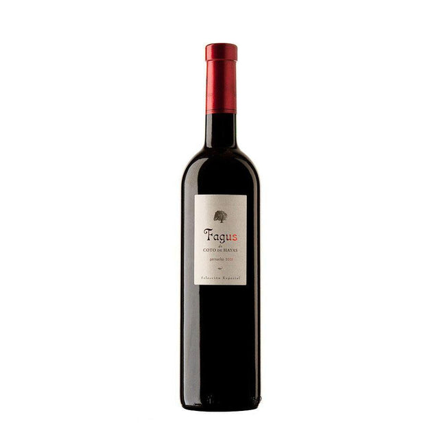 Coto De Hayas ‘Fagus’ Grenache Seleccion 2008-Red Wine-World Wine