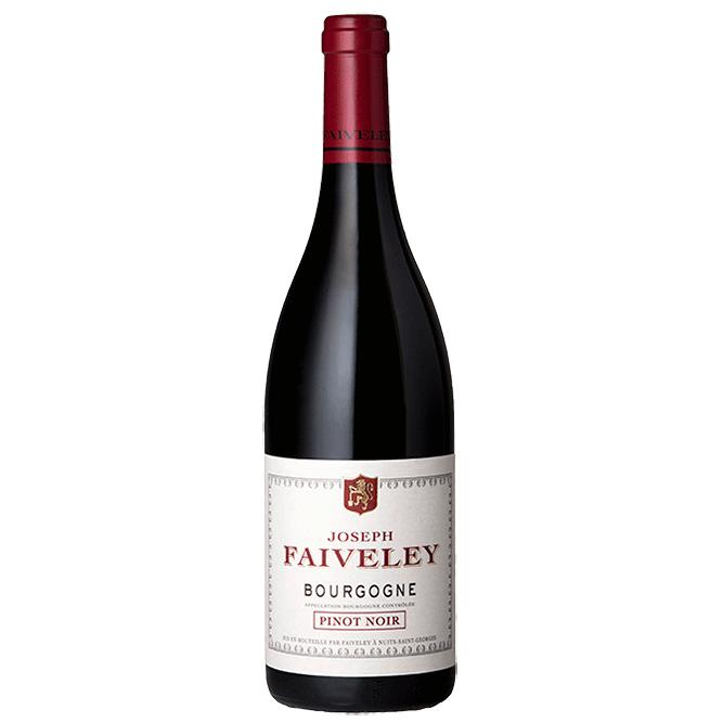 Domaine Faiveley Bourgogne Rouge 2019-Red Wine-World Wine