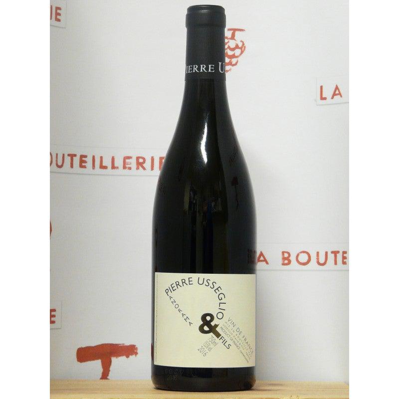 Domaine Pierre Usseglio Côtes Du Rhône 2021-Red Wine-World Wine