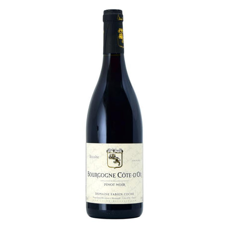 Fabien Coche Bourgogne Rouge 2019-Red Wine-World Wine