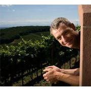 Meyer-Fonne Pinot Gris Reserve 2017-White Wine-World Wine