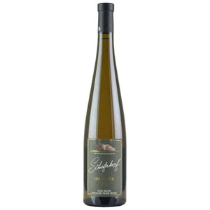 Schieferkopf ‘Lieu-dit-Buehl’ 2017