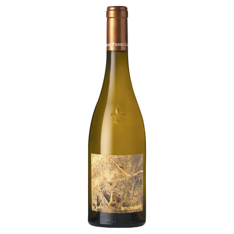 Pierre Luneau-Papin Muscadet Sevre et Maine Sur lie Terre de Pierre 2020-White Wine-World Wine