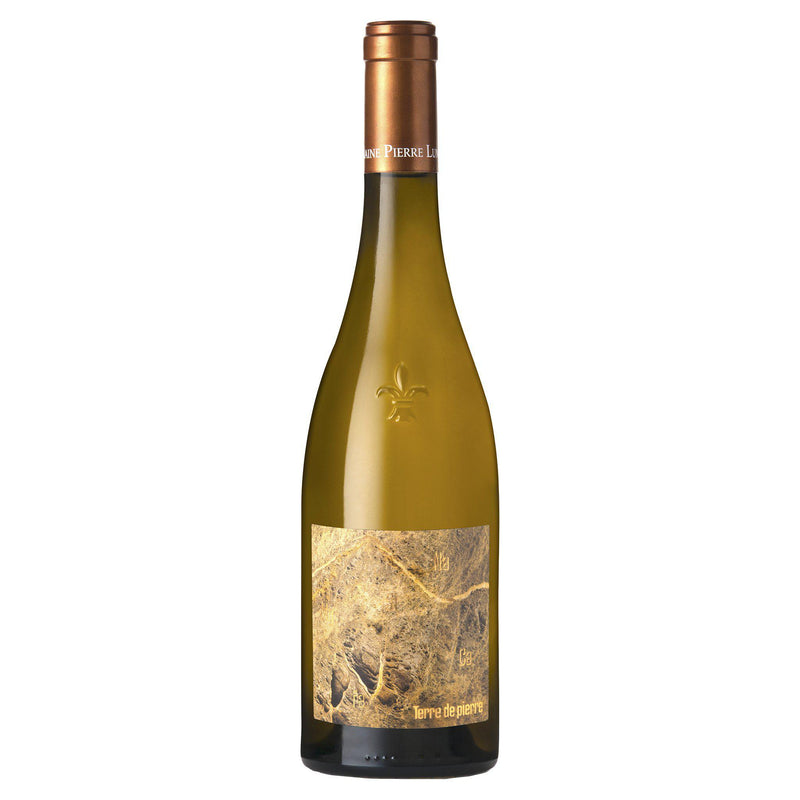 Pierre Luneau-Papin Muscadet Sevre et Maine Sur lie Terre de Pierre 2020 (6 Bottle Case)-White Wine-World Wine