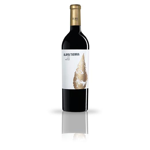 Bodegas Atalaya 'Alaya' 2014-Red Wine-World Wine