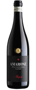 Allegrini Amarone DOC 2019-Red Wine-World Wine