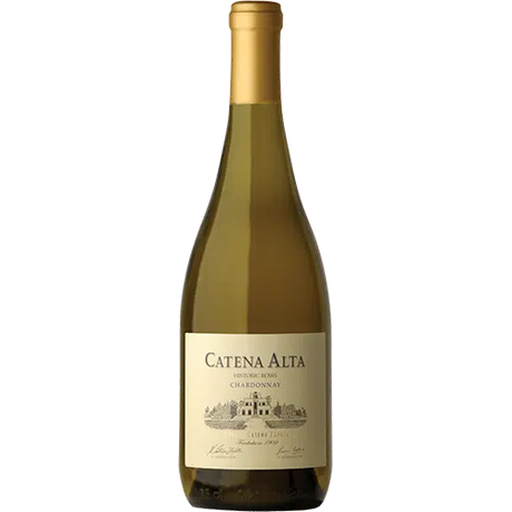 Catena Alta Chardonnay 2020-White Wine-World Wine