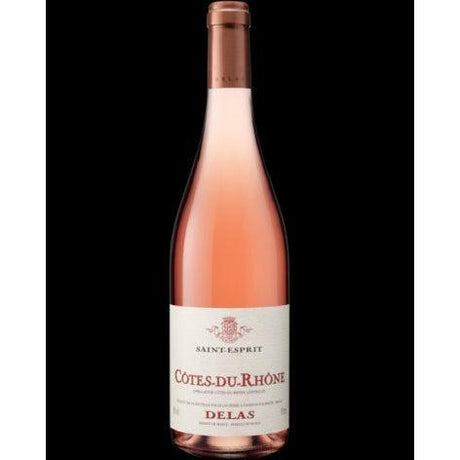 Delas Freres Cotes Du Rhone St Esprit Rose 2020-Rose Wine-World Wine