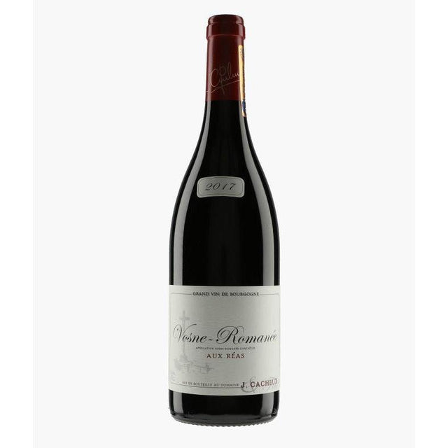 Domaine Jacques Cacheux et Fils Vosne Romanée 2017-Red Wine-World Wine