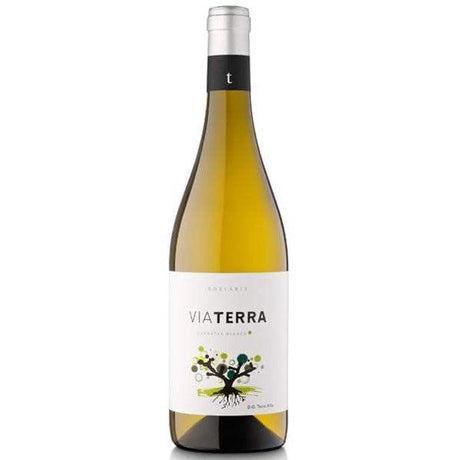 Bodegas Edetària Via Terra Blanc 2017-White Wine-World Wine