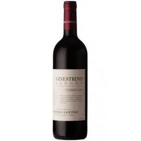 Conterno Fantino Nebbiolo d'Alba DOC 'Ginestrino' 2021-Red Wine-World Wine