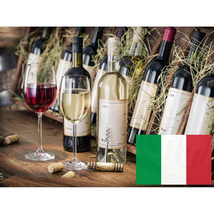 Italian Mixed Value Wine Case (6)