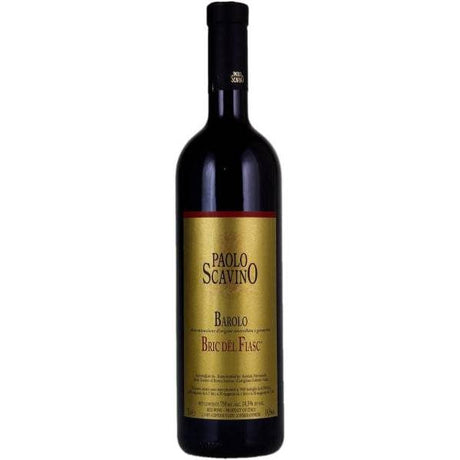 Paolo Scavino Barolo 'Bric dël Fiasc®' DOCG 1.5L [Castiglione Falletto] 2020-Red Wine-World Wine