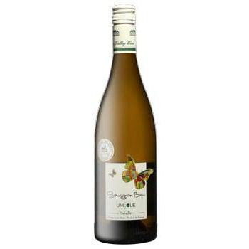 Domaine du Salvard Val de Loire Unique Sauvignon Blanc 2022-White Wine-World Wine