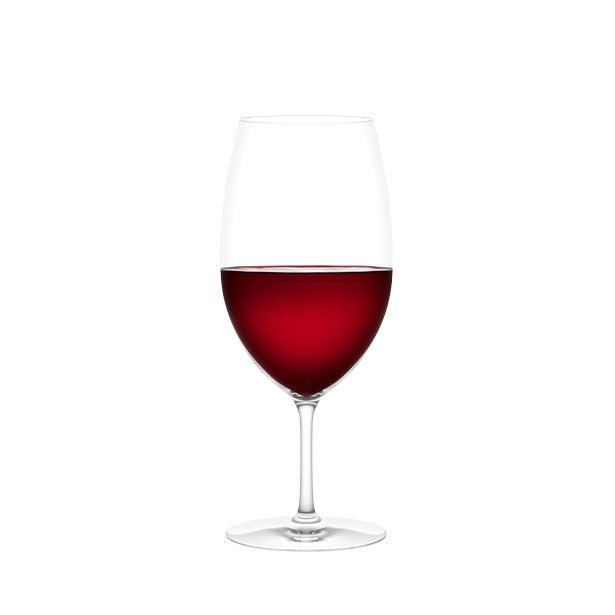 Plumm Everyday The REDorWHITE Glass Retail 4 Pack-Glassware-World Wine