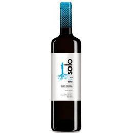 Bodegas Aragonesas Coto De Hayas Solo Shiraz 2020-Red Wine-World Wine