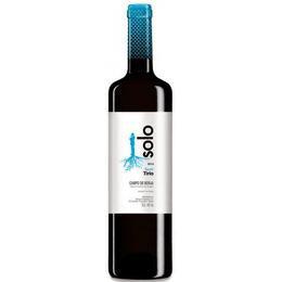 Coto De Hayas Solo Shiraz 2017 (12 bottle case)-Red Wine-World Wine