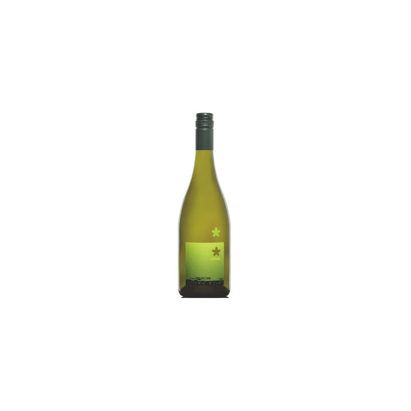 Underground Winemakers Offspring Pinot Gris (12 Bottle Case)-Current Promotions-World Wine