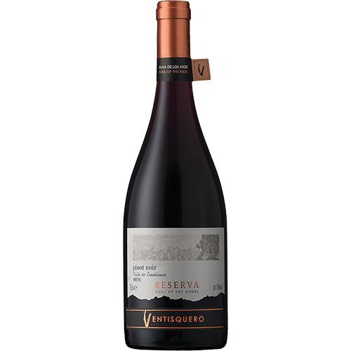 Vina Ventisquero Reserva Pinot Noir 2022-Red Wine-World Wine